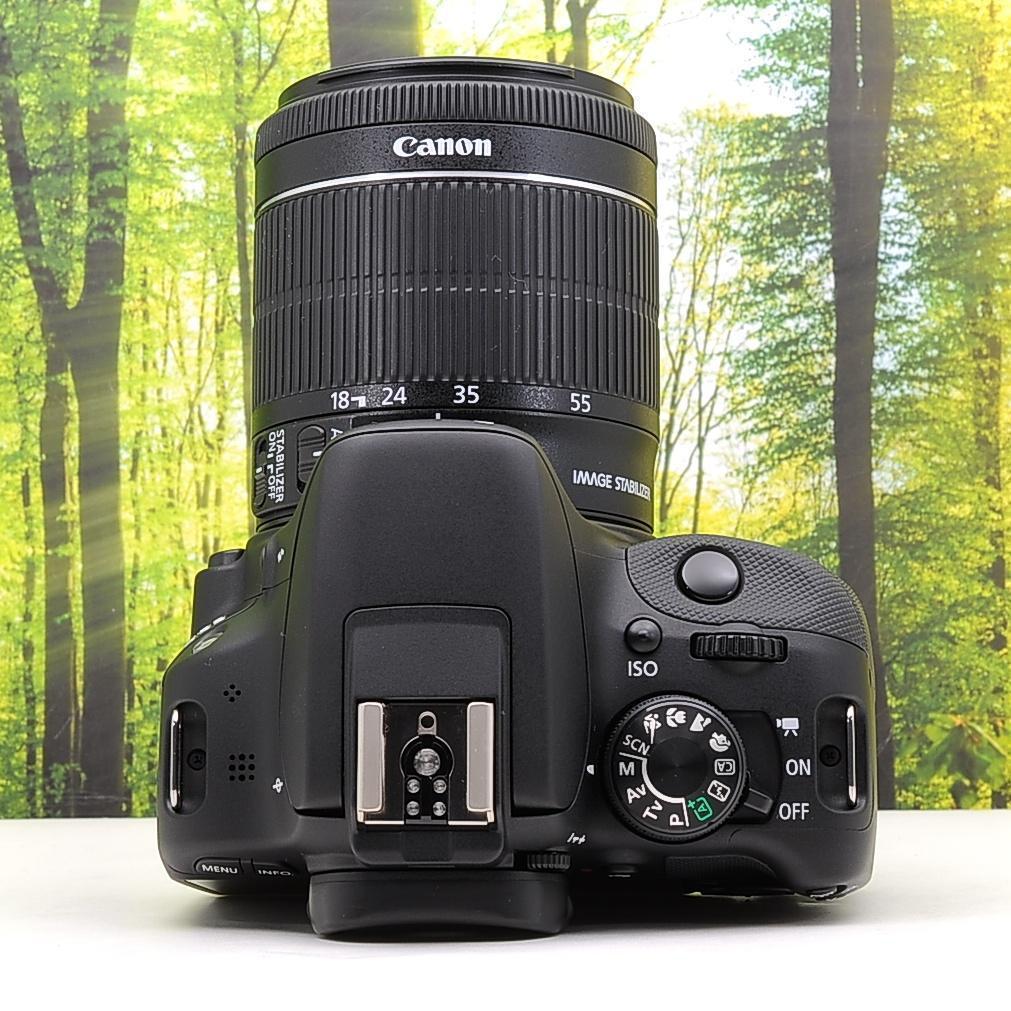 ショット数1715枚！スマホ転送セット☆キャノン Kiss X７☆動画撮影も！