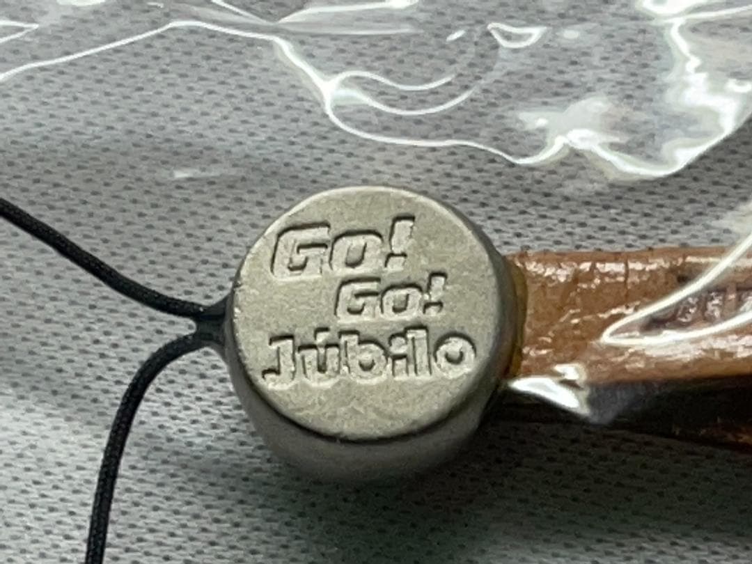 ジュビロ磐田　幻の2001世界クラブ選手権　TBSテレビ　チャーム