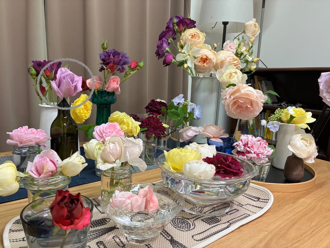 【バラ「超」大苗】　ブルームーン