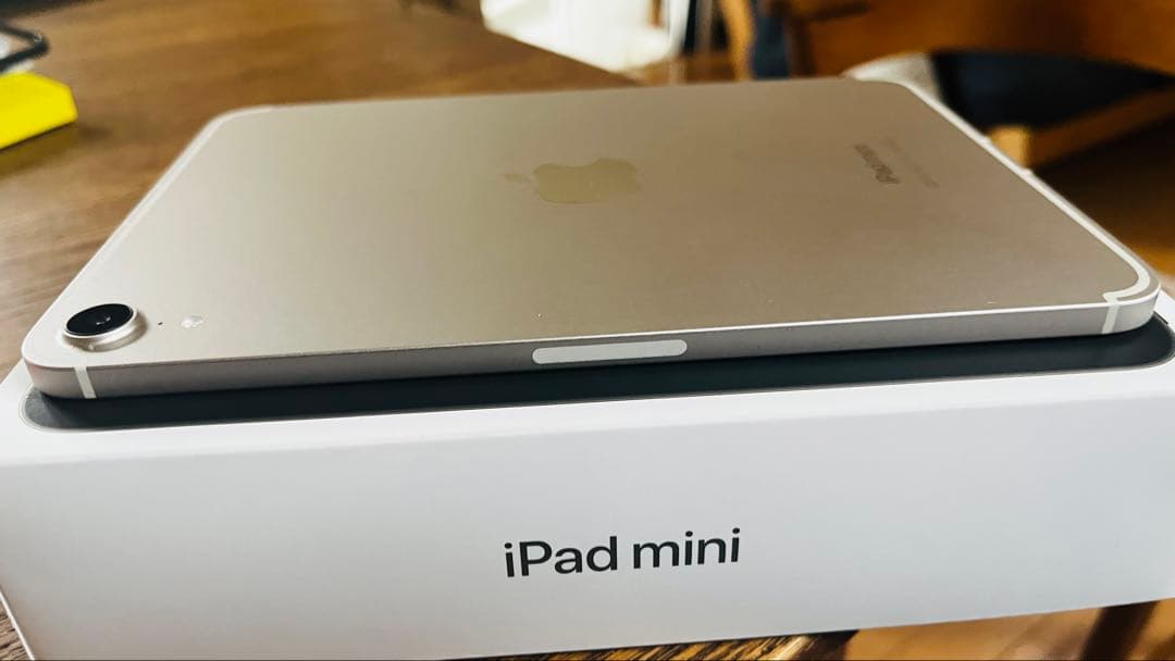 iPad mini (第7世代) Wi-Fi + Cellular 256GB
