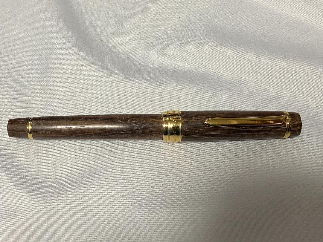 PILOT 万年筆 カスタム槐 ペン種 M