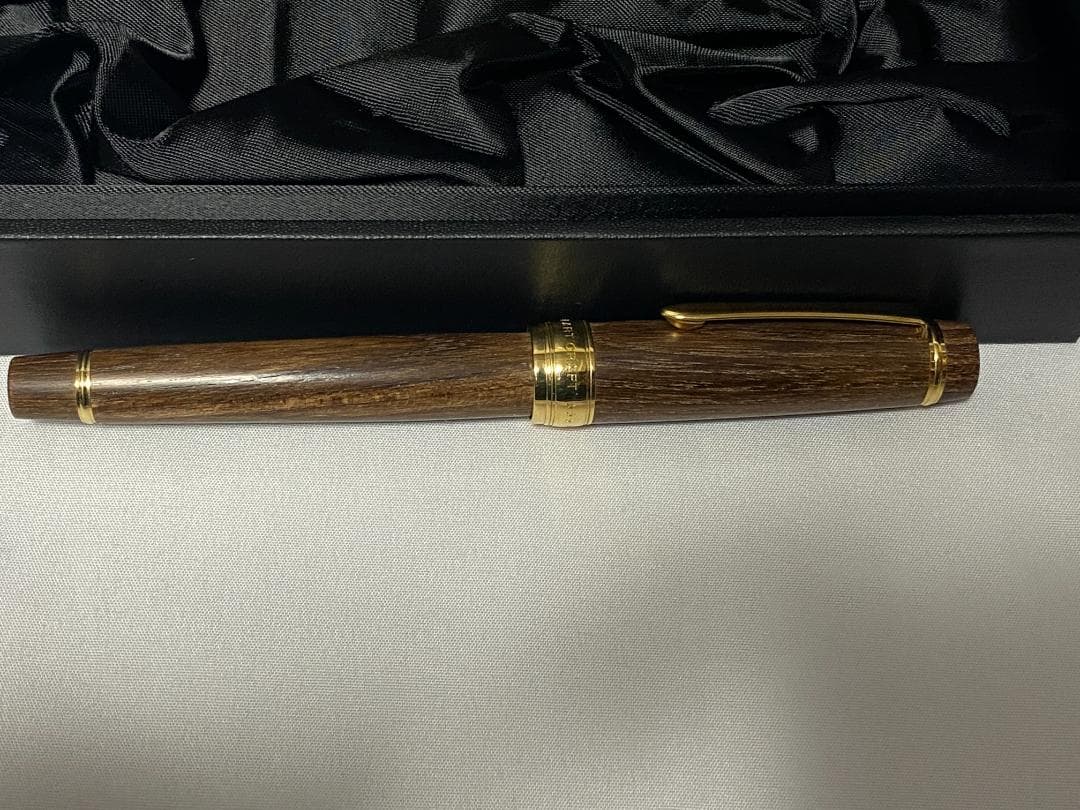 PILOT 万年筆 カスタム槐 ペン種 M