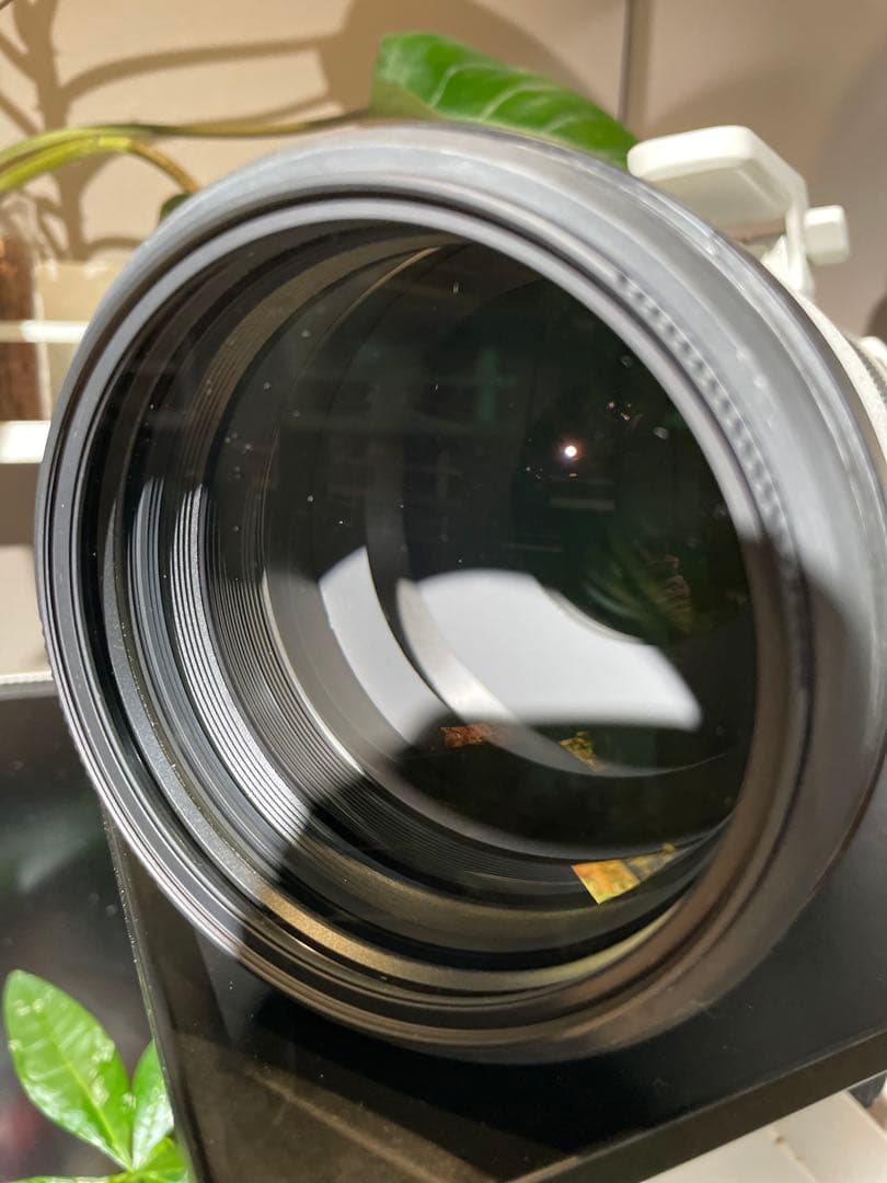 【美品】SONY FE 200-600mm F5.6-6.3 G OSS