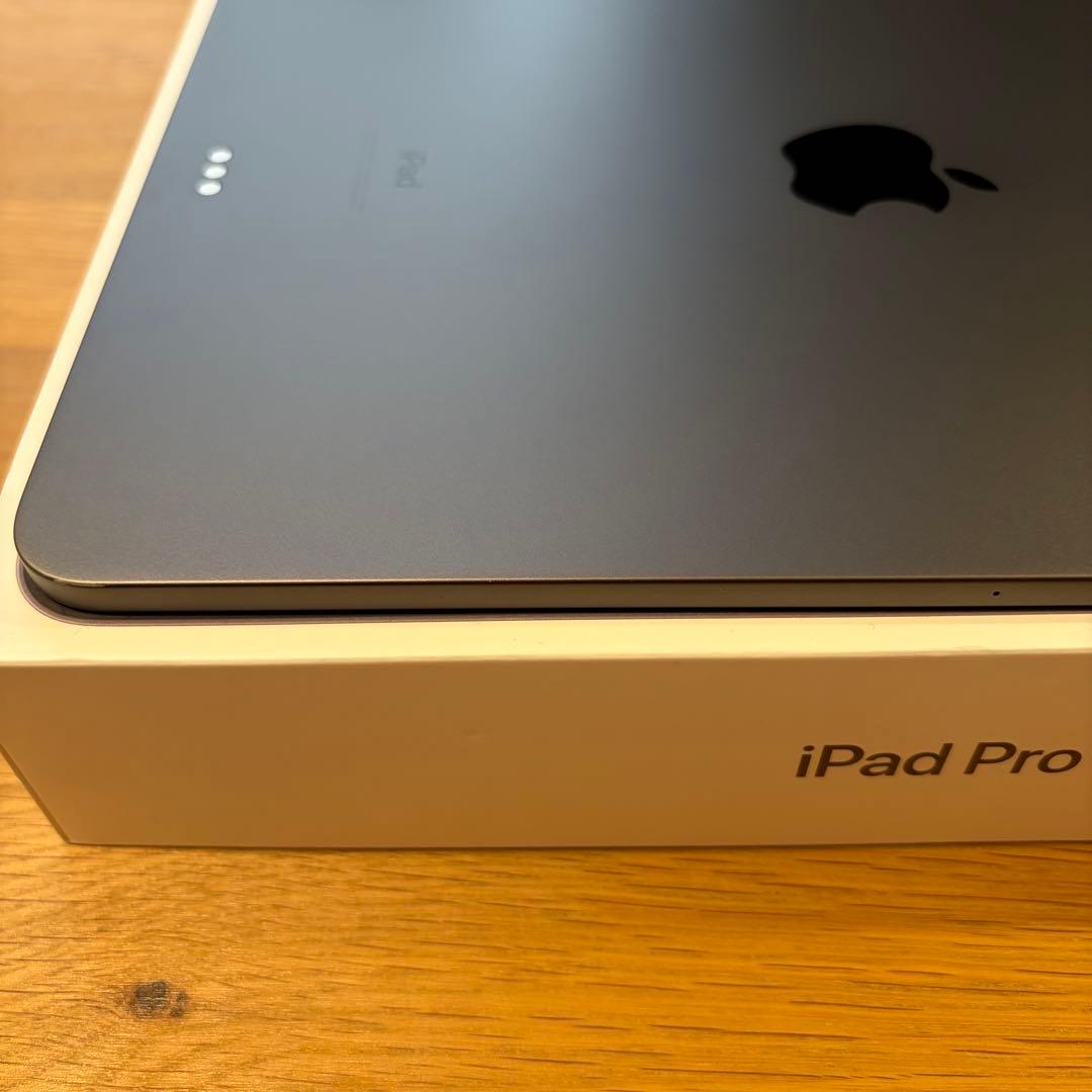 iPadPro11インチ 第1世代256GB