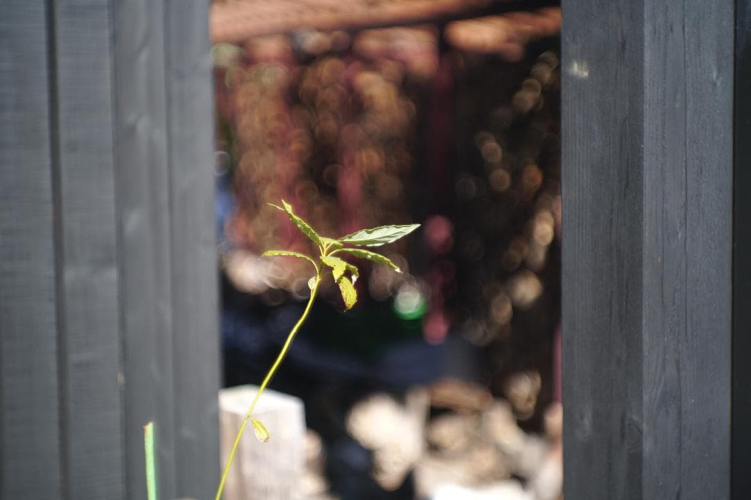 Leica Hektor 7.3cm f1.9 L39 ヘクトール73mm