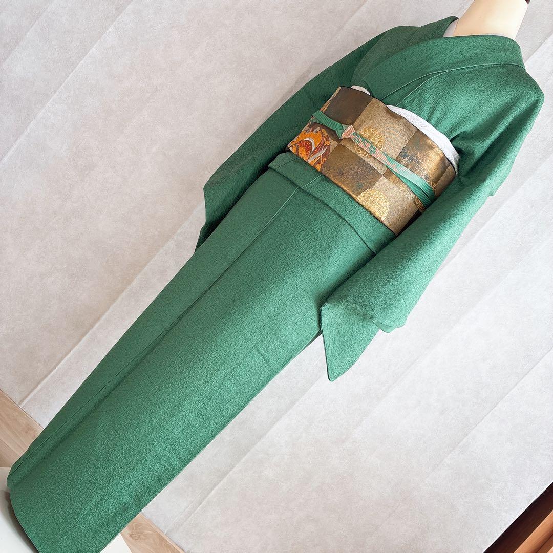 色無地　フルセット　着物　正絹　トールサイズ　緑　卒業式　入学式　N2