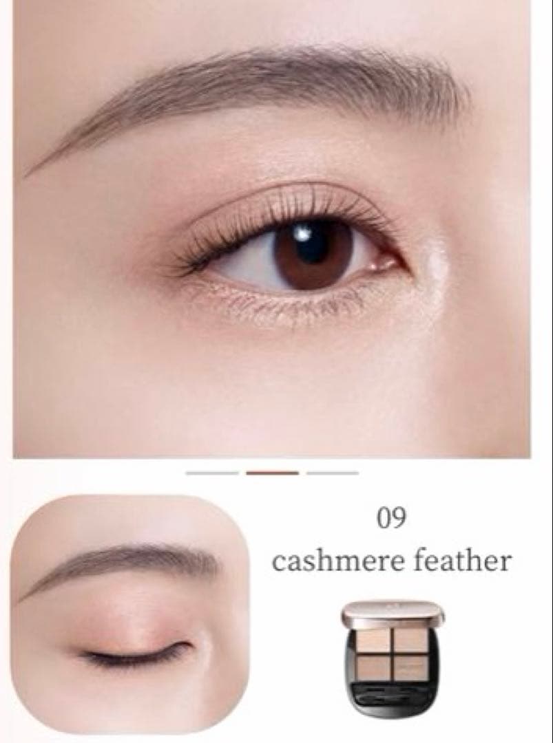 新品未使用/ コスメデコルテ スキンシャドウ デザイニングパレット０９