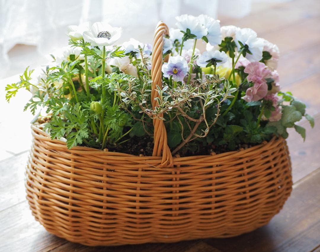 オーバルバスケットのパステルカラー寄せ植え