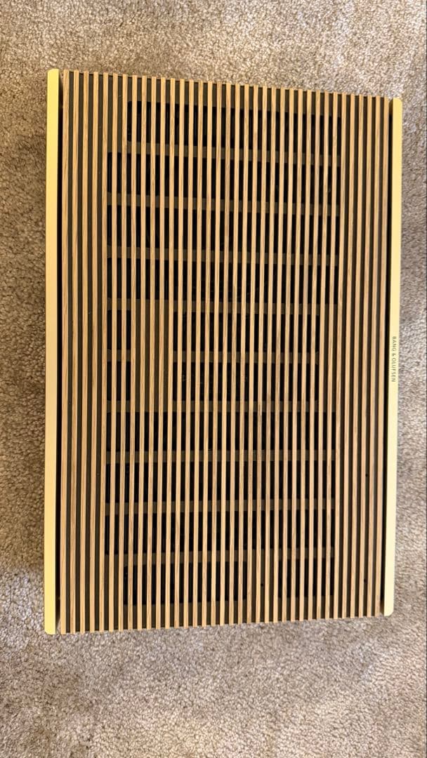 Bang & Olufsen Beosound Level 【美品】