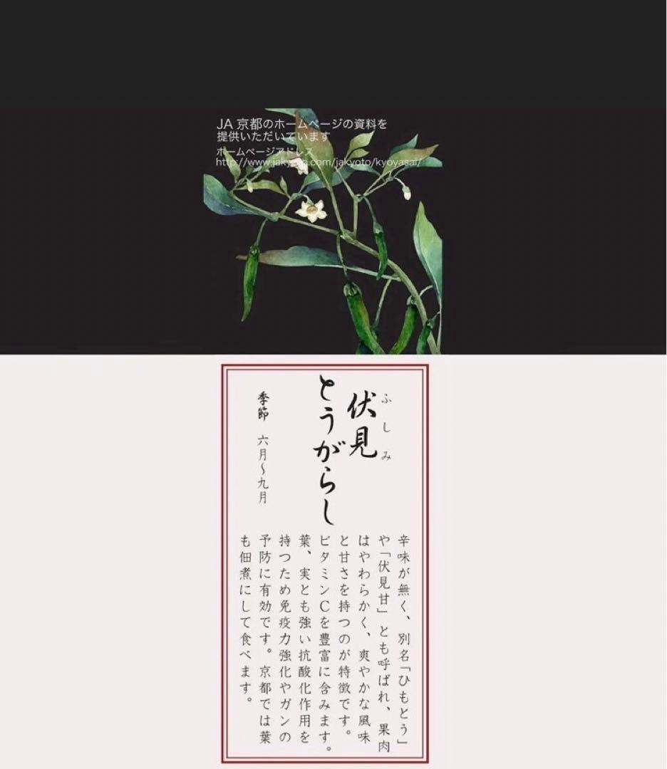 新品 Noritake ボウル 14㎝ 絵変わりセット 京香旬彩 5個セット