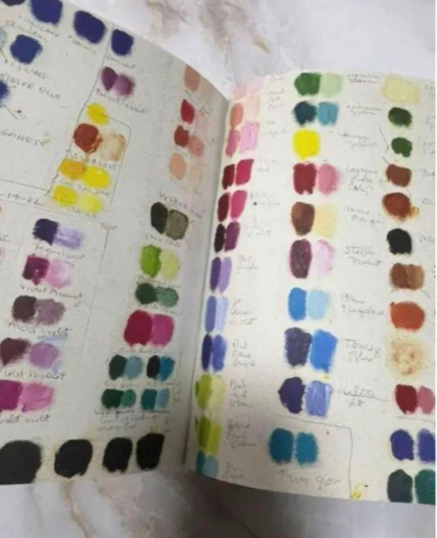 新品　未使用　ジョンデリアン　ブック　ステッカー　アッシュペー フランス