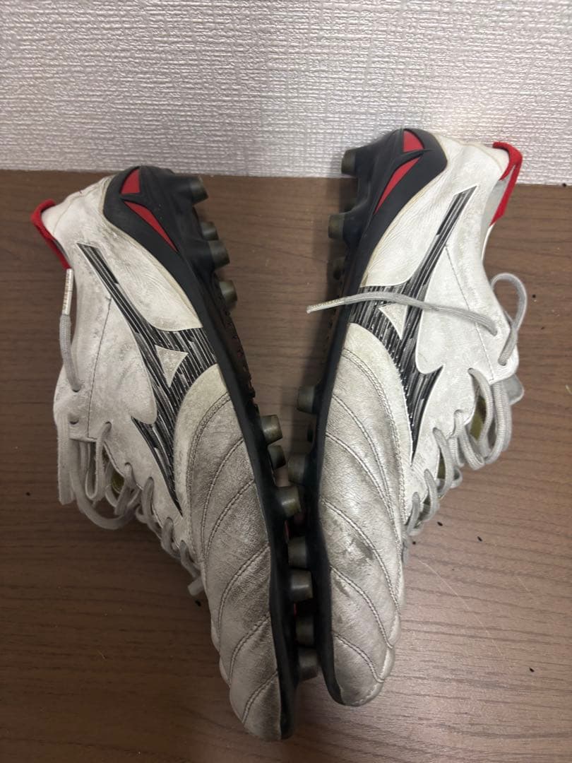 モレリアネオ4 29.0