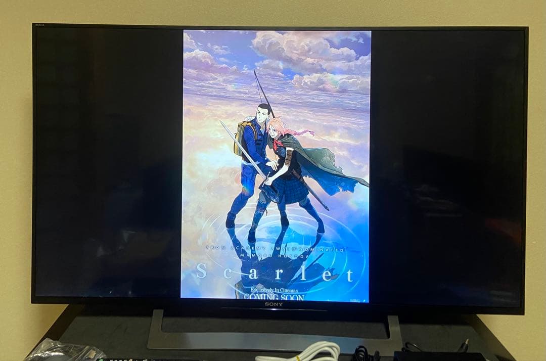 【今だけ優待価格】SONY BRAVIA｜49型4K Android TV