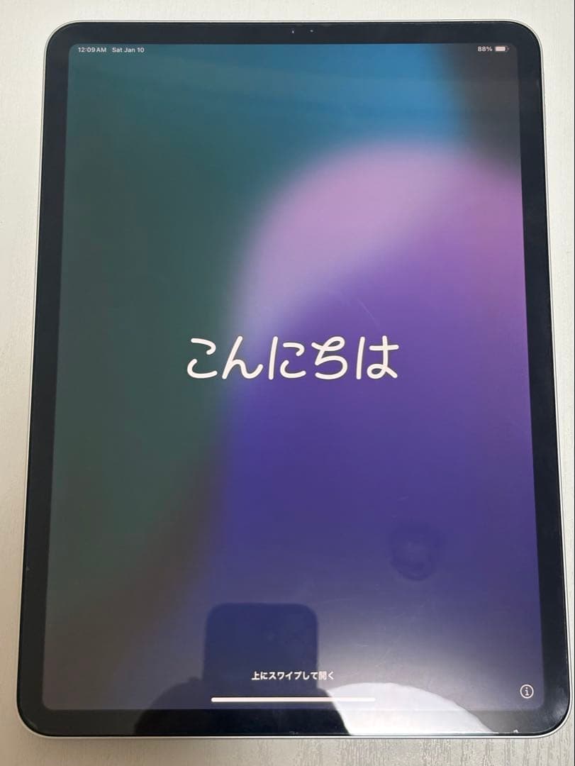 iPad Pro 第1世代 256GB Apple Pencil 第2世代　替芯