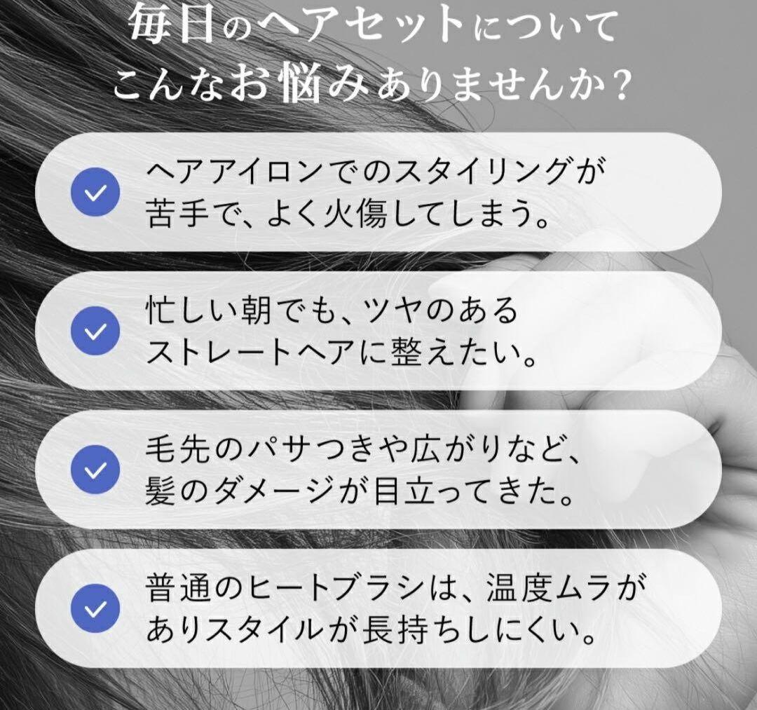 ELEMEA エレメアコームストレイナー SCK-K01W 美品