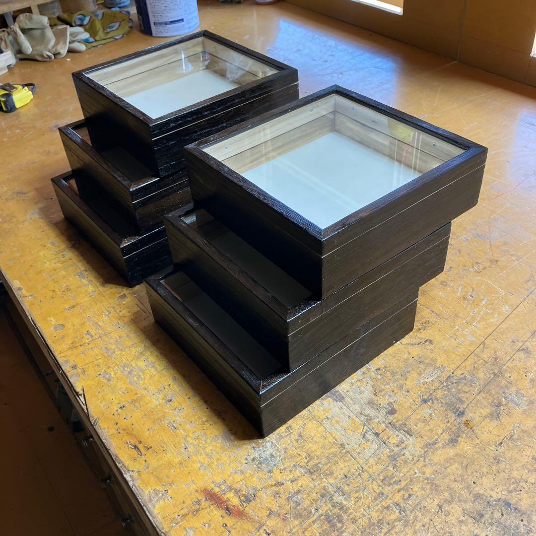 小型標本箱　6箱