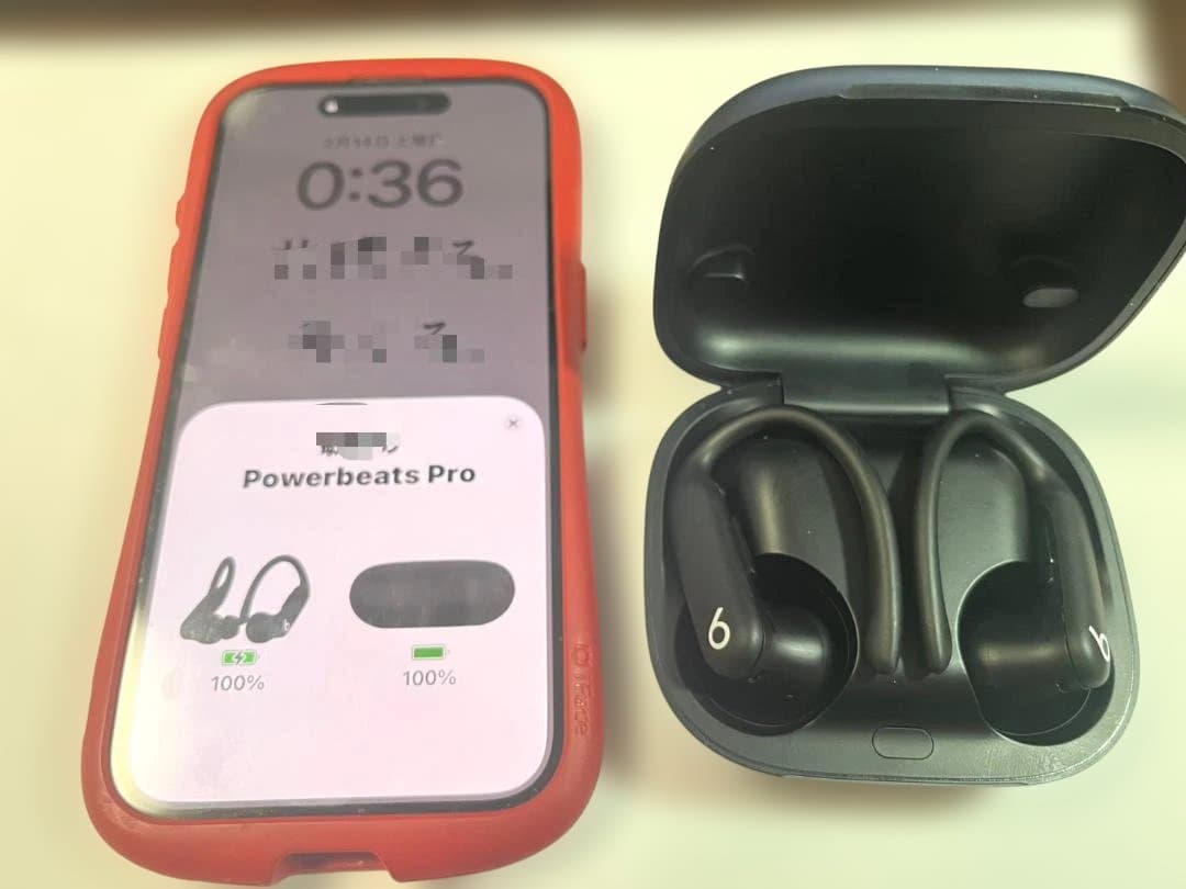 Beats Powerbeats Pro 2 黒 動作確認済