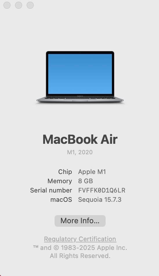 M1 MacBook Air 2020 メモリ8GB ストレージ256GB