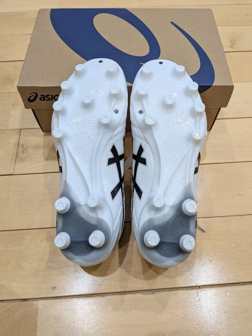 ASICS DS LIGHT PRO スタンダード 25.0cm 新品未使用
