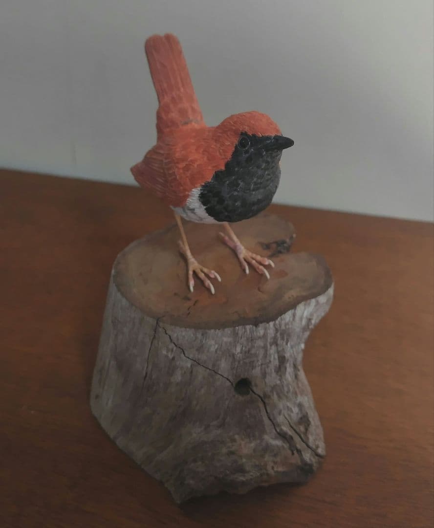 バードカービング　\"ホントウアカヒゲ”