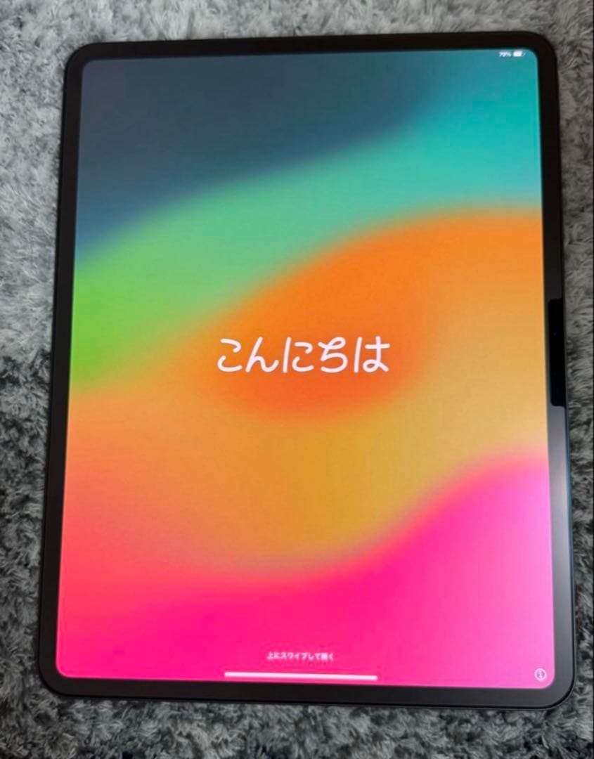 【ほぼ新品】iPad Pro M4 13インチ 256GB Wi-Fiモデル