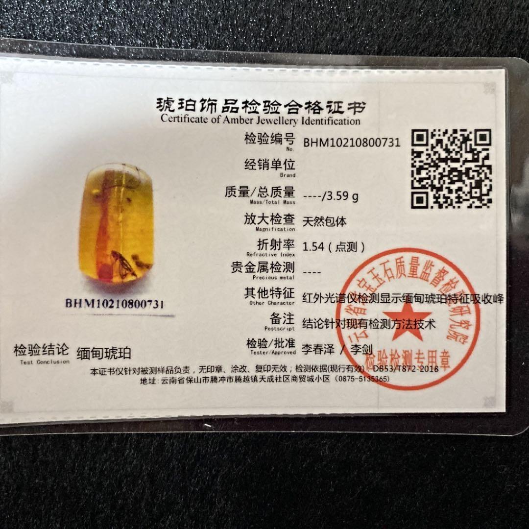 アンバー 琥珀  昆虫 コレクション 天然石 虫入り ゴキブリ 価値上がる 宝石