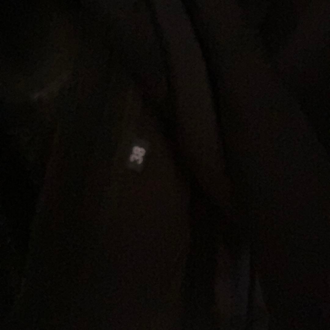 ADORE アドーア　シアープリーツ　ブラウス　黒