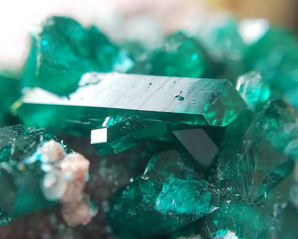 526 ダイオプテーズ プランへ石 翠銅鉱 クラスター コンゴ産