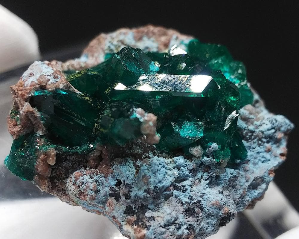 526 ダイオプテーズ プランへ石 翠銅鉱 クラスター コンゴ産