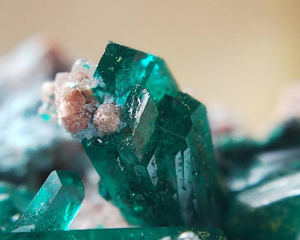 526 ダイオプテーズ プランへ石 翠銅鉱 クラスター コンゴ産