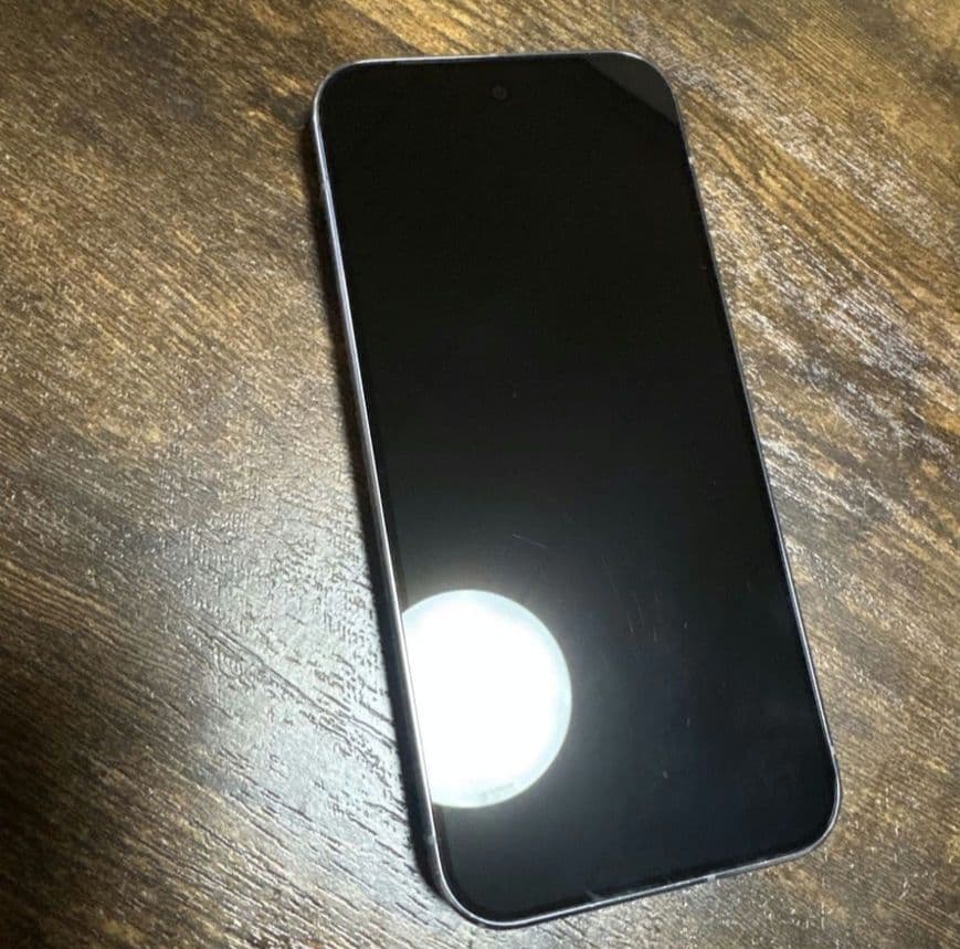 Google Pixel 10 Pro Moonstone SIMフリー最終価格