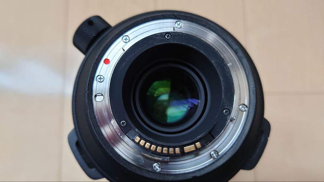 【作例あり】SIGMA 60-600mm F4.5-6.3 DG OS HSM