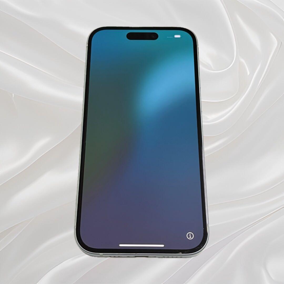 Apple iPhone15 256GB 本体　SIMフリー