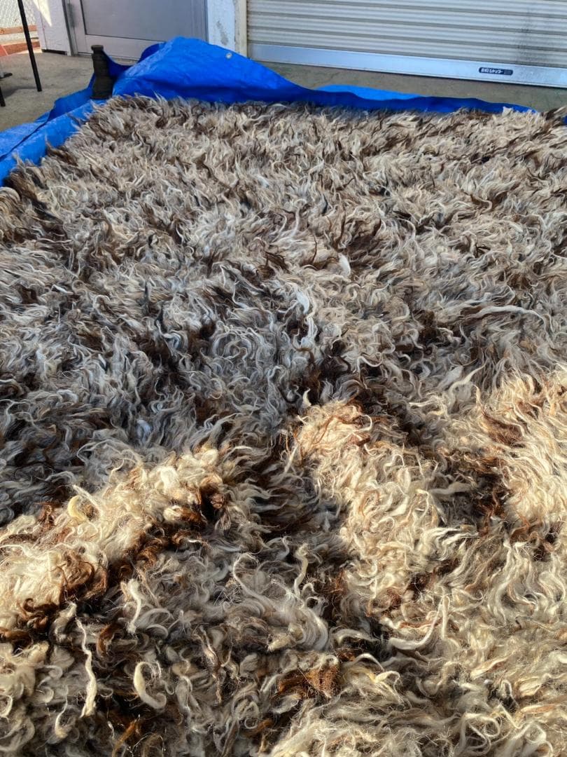 K◆BoConcept カーペット ラグ 絨毯 170×240cm