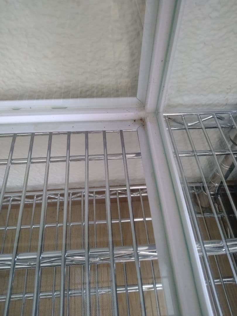 たいやき　　【引き取り限定】爬虫類倶楽部 ケージ 幅120✕奥45✕高45