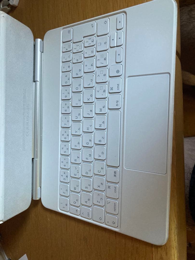 iPad Pro gene1 11インチ 512gb バッテリー88%