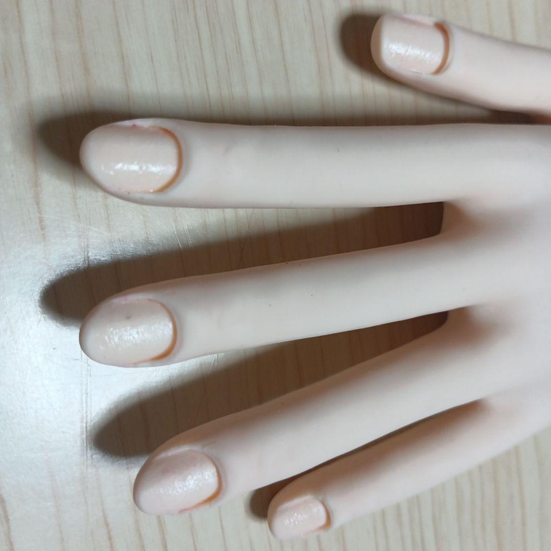 ネイリスト技能検定試験用JNEC認定モデルハンド/ネイリスト検定STモデルハンド