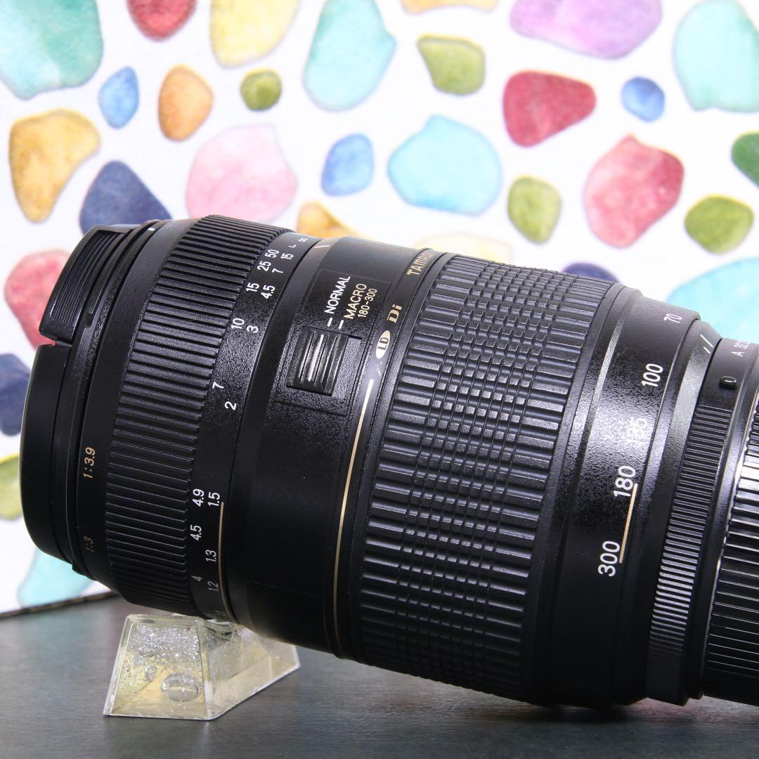 ♥︎◇遠く撮るならこのレンズ♪ ◇TAMRON 70-300mm PENTAX