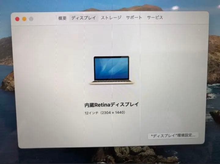その他 MacBook(Retina,12-inch,Early 2026)