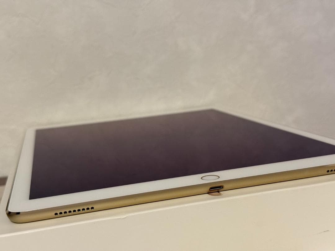 極美品★iPadPro 初代 128GB 12.9 Wi-Fi+Cellular