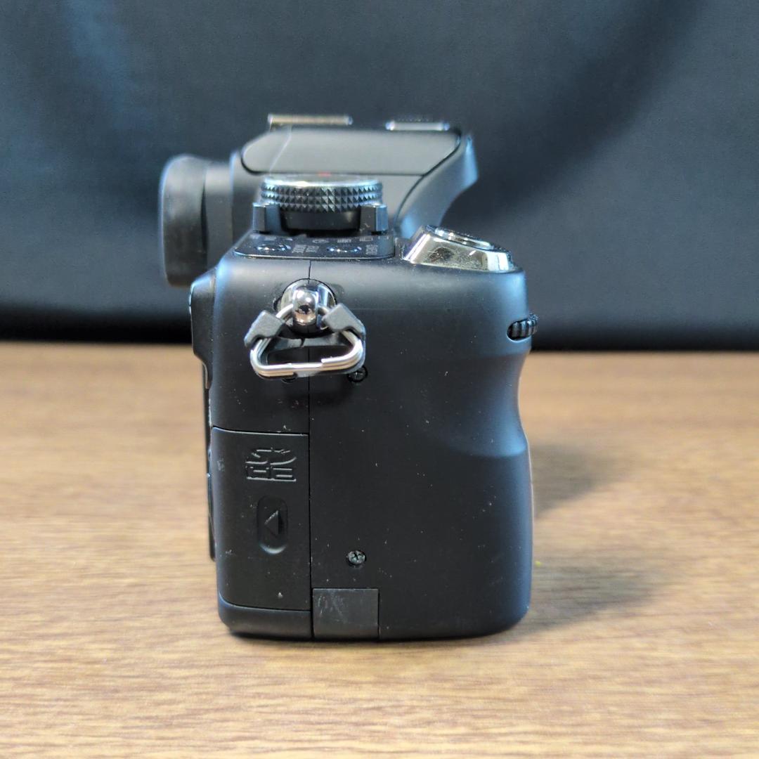 Panasonic LUMIX GH1 ボディ ブラック【動作品】箱付き
