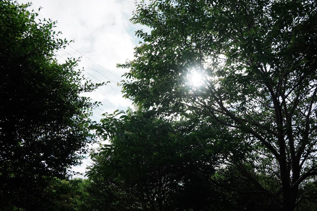 美品 Tamron 18-300mm VC VXD 高倍率ズーム ソニーE用