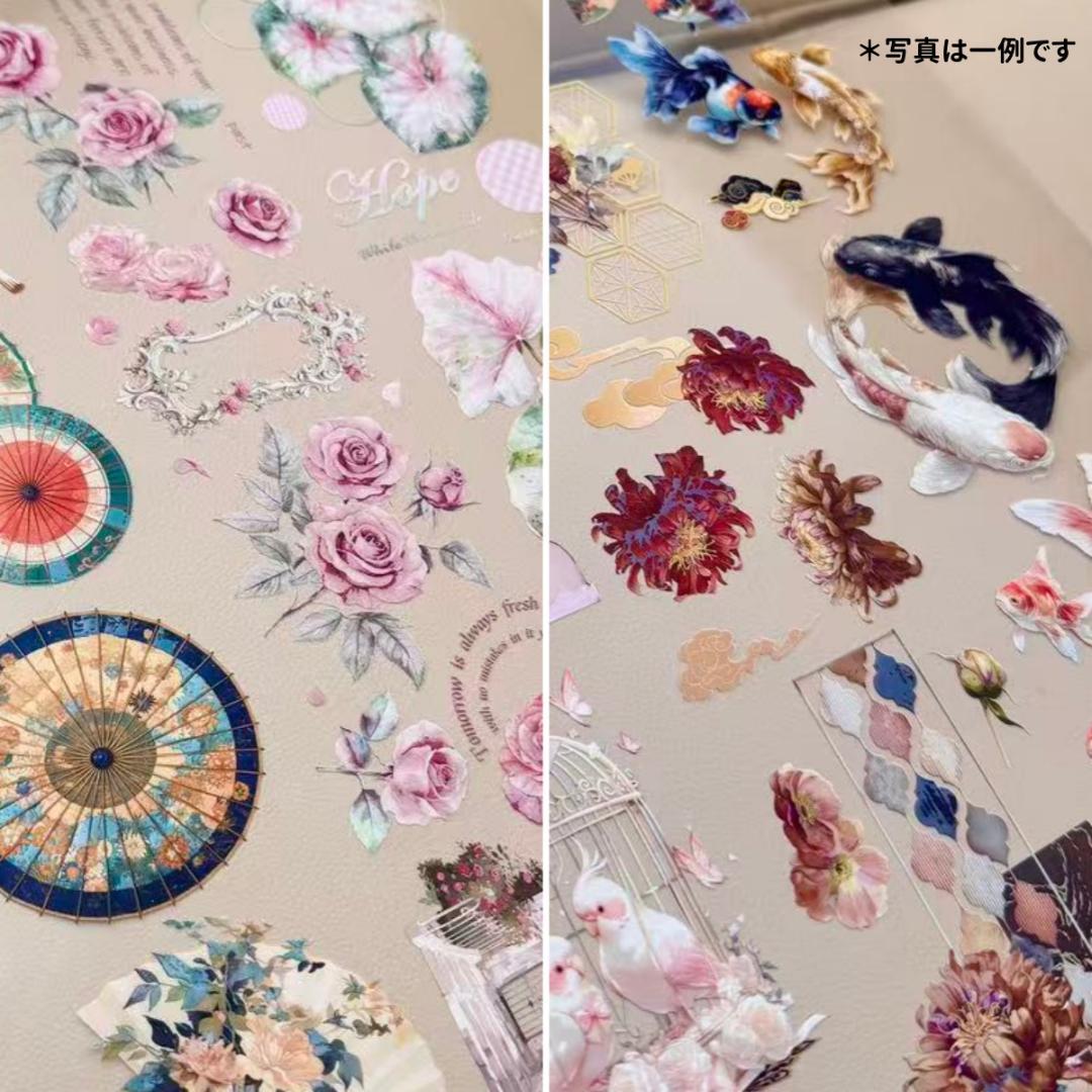 Shii♡　1001
