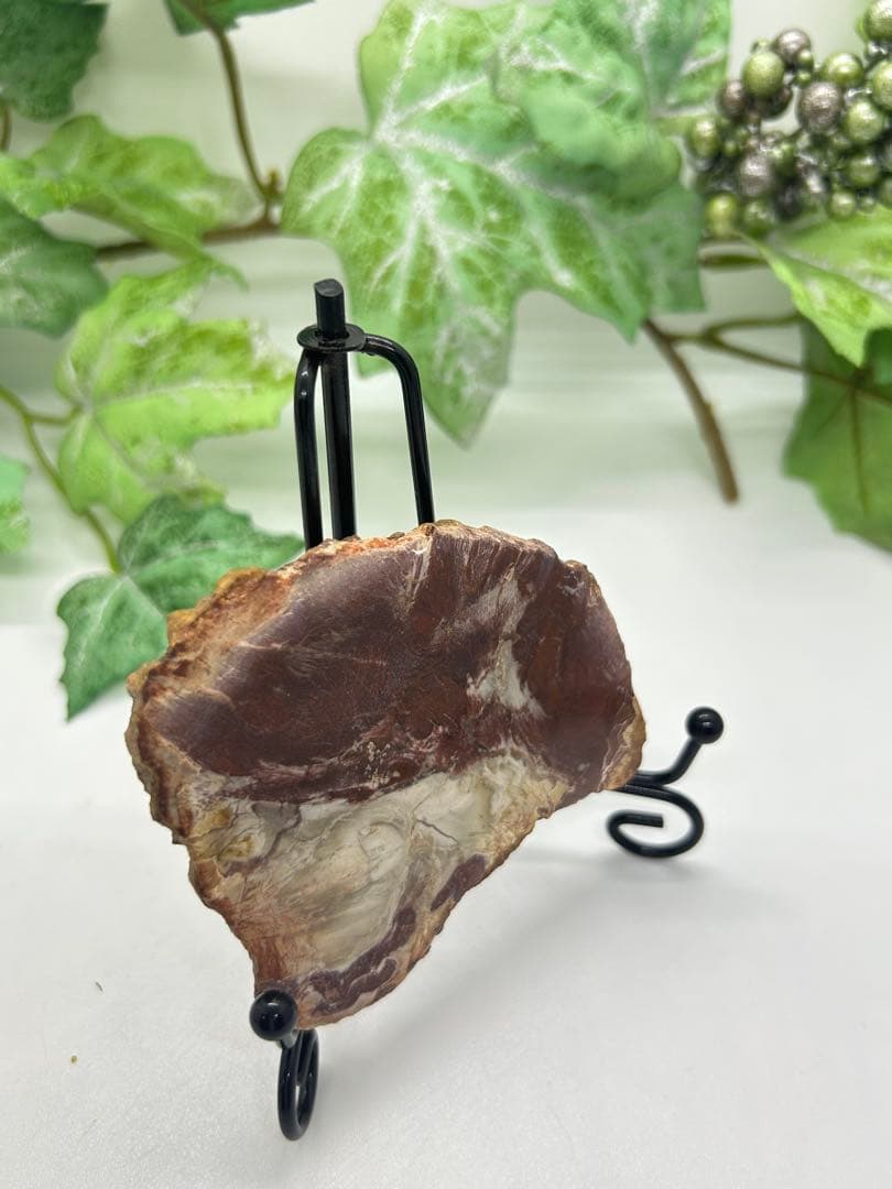 珪化木プレート　ペトリファイドウッド　No.871