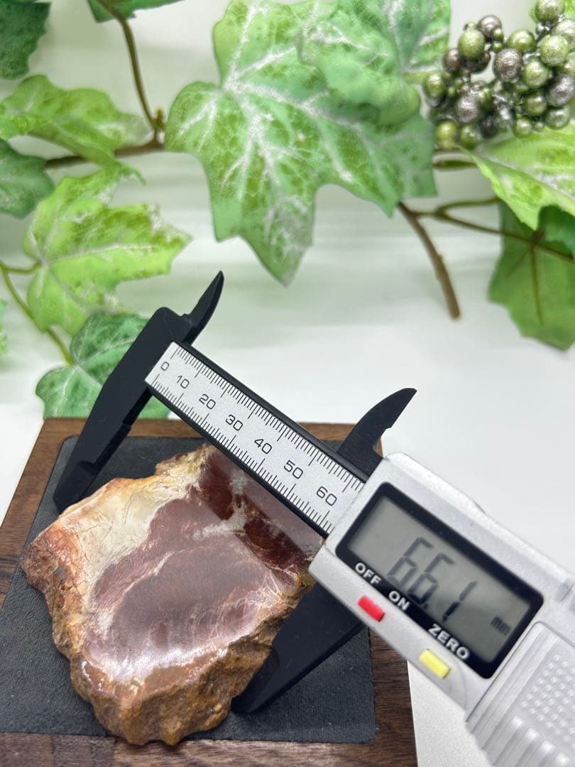 珪化木プレート　ペトリファイドウッド　No.871