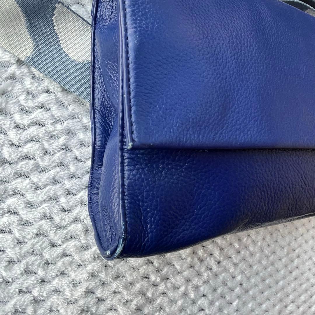 イアパピヨネ 柄ワイドテープショルダーバッグ ダルメシアン ボディバッグ ブルー