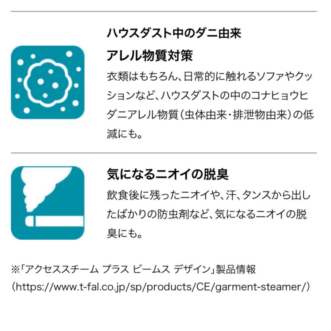 【限定】BEAMSデザイン T-fal 衣類スチーマー