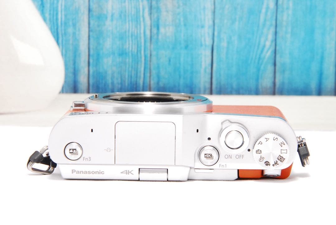 【ショット数611回】LUMIX GF9 SNS Wi-Fi チルト ミラーレス