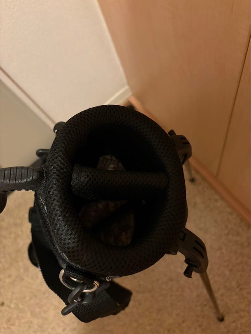 セルフスタンドゴルフバッグ ドラえもん柄