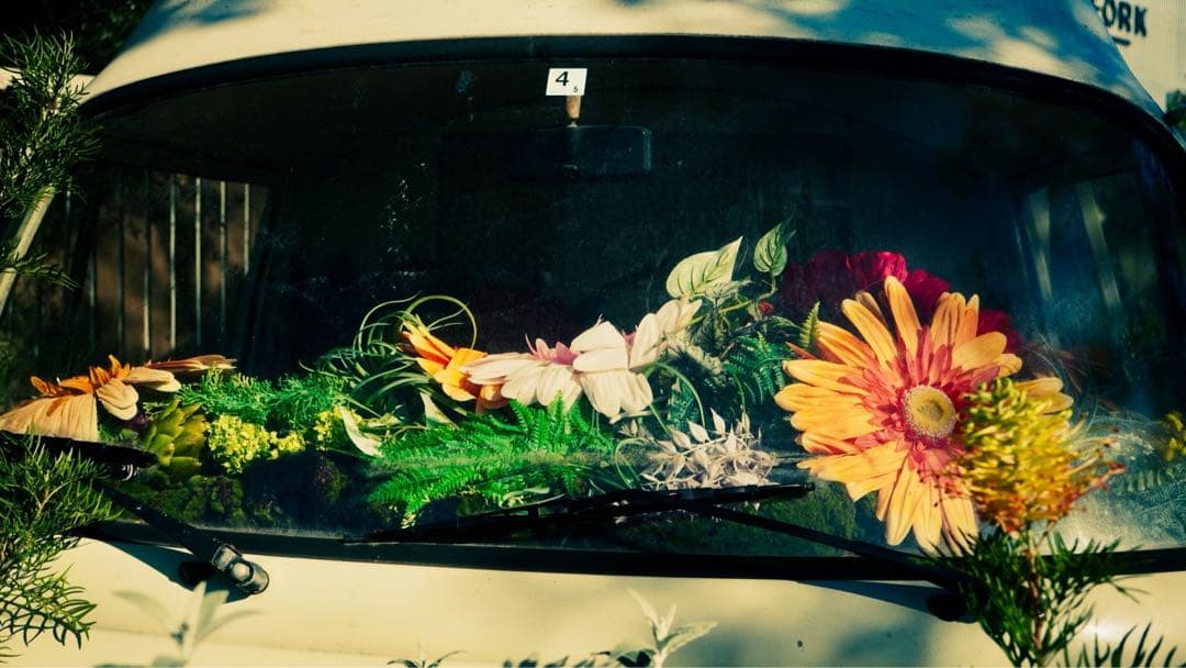 【流星光】SONY ZV-E10 + SIGMA レンズ